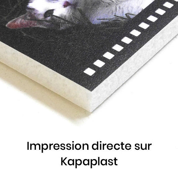 impression directe sur kapaplast